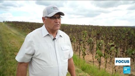 In South Africa, some White farmers seek Trump's support over expropriation law