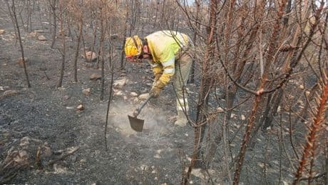 Ola de incendios en España, en directo | Lo peor en Galicia, Castilla y León y Cáceres: arden varias casas, carreteras cortadas y trenes suspendidos