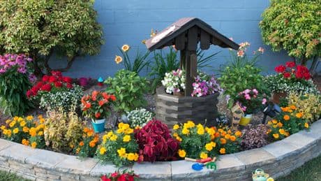 Pleite nach mehr als 100 Jahren - Versandhandel für Gartenbedarf insolvent