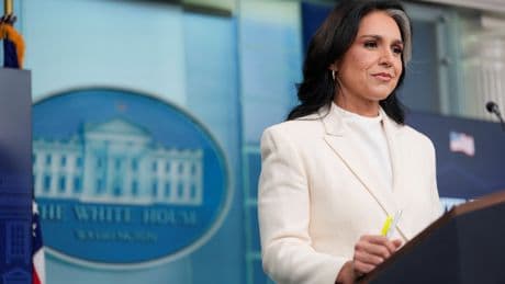 Miranda Devine: The country deserves better than the Dems ‘cracked out clown show,’ ‘elite’ media ignoring Gabbard’s bombshell
