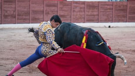 Artista por artista en Colmenar Viejo: Pablo Aguado sustituye a Morante de la Puebla el martes 2 de septiembre