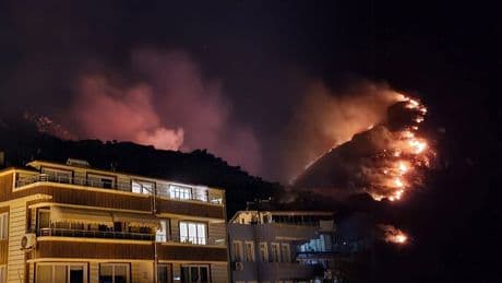 İstanbul ve Balıkesir'de orman yangını! Alevler yerleşim yerlerine ilerliyor...