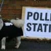 Parties make final pitch ahead of local elections