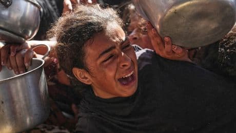 PHOTO COLLECTION: Israel Palestinians Food