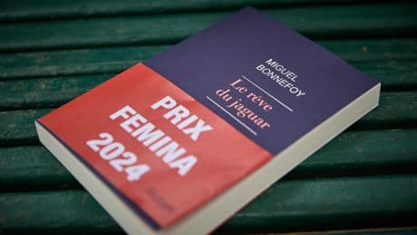 Les romans sélectionnés pour le Prix Femina
