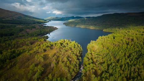 Rewilding scheme launches as charity with ambitious goals