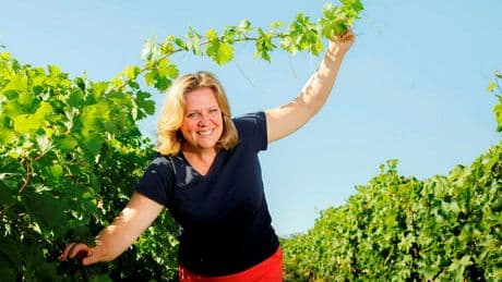 Spécial vins – Chinon, les Boulaies et les Picasses