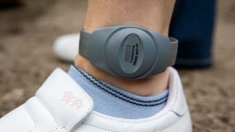 Shocking blunder as dangerous criminal left without GPS tag for over 50 DAYS after early release from jail