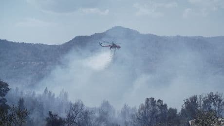 "1.145 hectares de terrain": plusieurs zones forestières brûlées dans un incendie en Grèce