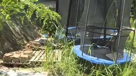 Siblings, 9 and 6, found on farm in nappies speaking only in primitive language