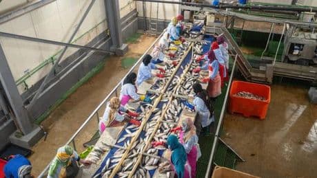 La Mauritanie face au pillage de ses eaux