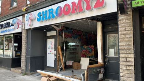 Video shows pickup truck smashing into Toronto magic mushroom shop