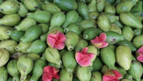 Ni naranja ni fresa: la fruta rica en vitamina C para aumentar la producción de colágeno y lucir una piel joven y radiante