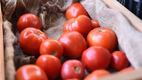 Ni salsa, ni gazpacho: la receta refrescante que puedes hacer con tomates maduros según el chef José Andrés