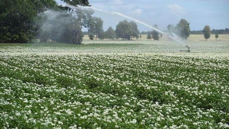 Wasser: Neues Wassergesetz stärkt Gewässerschutz - Gebühren steigen