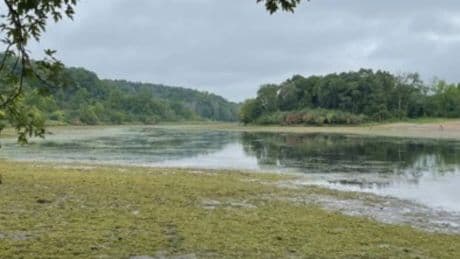 ‘I just don’t know how it happens’: Minnesota lake nearly entirely drained after ‘mechanical issue’