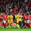 Dreigend Standard na vreselijke blessure Homawoo