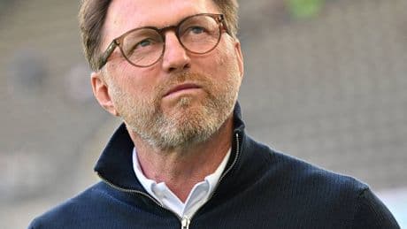 Medienberichte: Wolfsburgs Trainer Hasenhüttl vor dem Aus