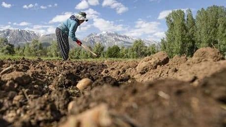 Çiftçilere 3,3 milyar lira destek ödemesi bugün yapılacak