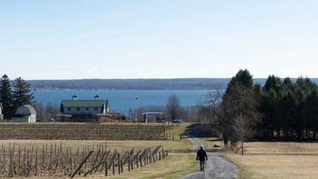 Vineyards in NY wine country push sustainability as they adapt to climate change