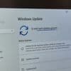 Windows-Update-Vorschau: Nun auch für Windows 11 verfügbar