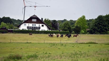 Tödliches Unglück in NRW - Frau (60) auf Pferdeweide von Blitz getroffen