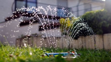 Rasenpflege im Sommer: Achtung, nicht zu oft gießen