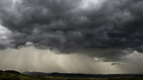 Orages: d'importantes précipitations s'abattent sur l'Alsace, record de cumul de pluie à Sélestat