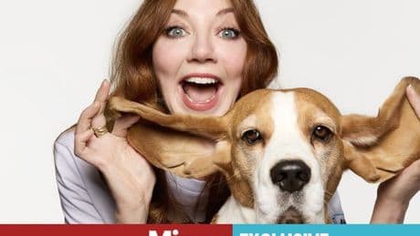 Majority of animal tested drugs fail in human trials as celebrities back campaign