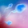 Sperm from men over the age of 45 are linked to higher IVF miscarriages and lower birth rates - even when young donor eggs were used