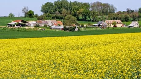 A la campagne, une reprise des transactions sur les maisons, mais un marché poussif sur les terres agricoles et les vignes