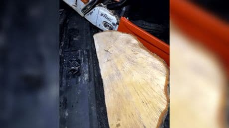 Sycamore Gap tree felling suspect claims he was ‘fixed up’ after a dispute by someone ‘stirring the pot’