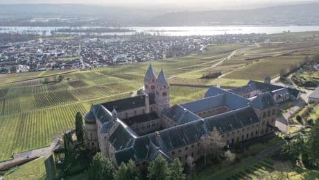 Tourismus in Hessen: Expats, rettet den Rheingau!