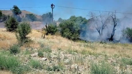 Elazığ'da korkutan yangın: Onlarca dönümlük alan kül oldu