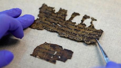 Dead Sea Scrolls mystery deepens as AI finds manuscripts to be much older than thought