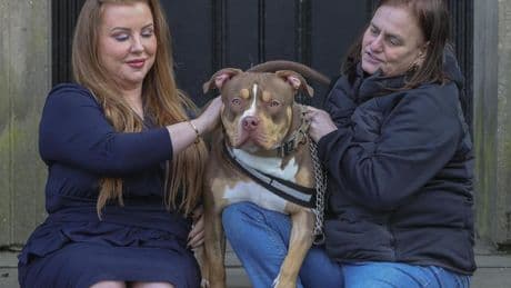 Court date fixed for Glasgow woman’s ‘ground-breaking’ XL bully legal fight