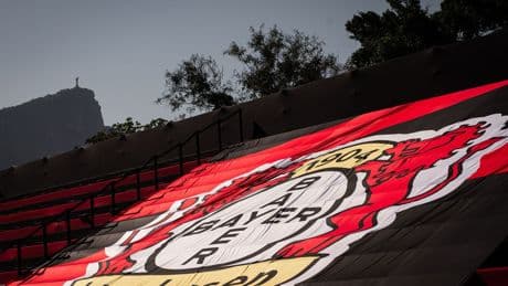 Fußball-Bundesliga: Bericht: Leverkusen vor Transfer von Argentinier Fernandez