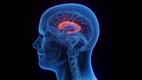 Nach Demenz-Diagnose: Arzt verrät, wie Sie die Krankheit ausbremsen