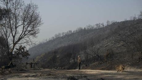 Los incendios dejan 3 muertos, 84.000 hectáreas arrasadas en una semana y complican la operación salida del puente