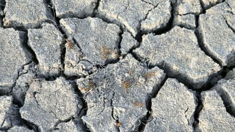 "Le dépassement du seuil de 1,5°C est inéluctable": le constat alarmant d'experts du réchauffement climatique