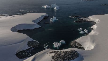 Remains of Antarctic explorer found 66 years after he went missing