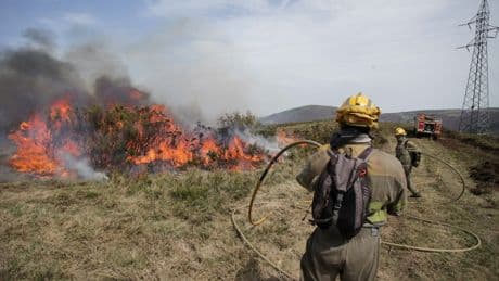 Ecologistas se oponen a la simplificar las normas europeas que podrían reducir los incendios forestales