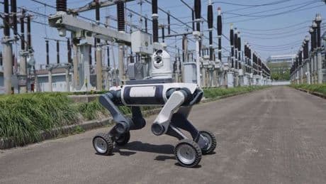 DEEP Robotics Empowers Intelligent Upgrades Across Industrial Scenarios
