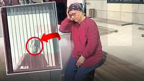 Merhametiniz yok mu!