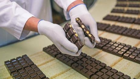 Landwirtschaft: Großer Teil der Ernte vernichtet: Die Haselnuss-Krise trifft Nutella, Nusspli und Ritter Sport