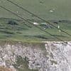 Two dead after car plunges 300ft off cliff at beauty spot 'as horrified holidaymakers watched on'