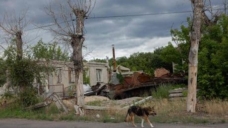 En direct, guerre en Ukraine : des attaques russes dans l’oblast de Kharkiv ont fait un mort et 4 blessés, selon les autorités locales