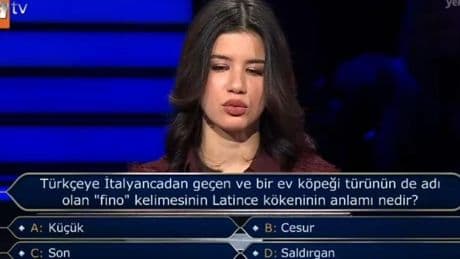 Fino kelimesinin Latince kökeninin anlamı nedir?