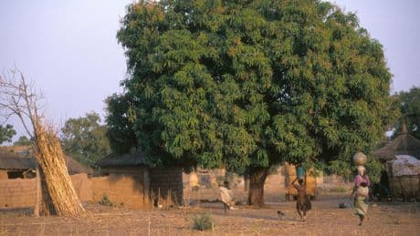 Burkina Faso : Human Rights Watch accuse l’armée d’avoir massacré 130 civils peuls