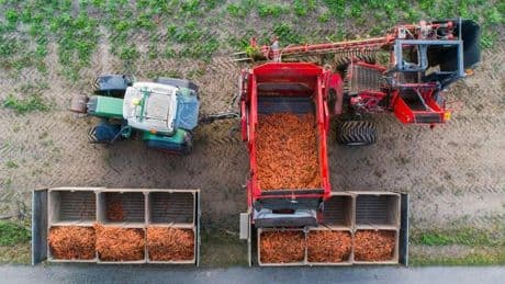 Lebensmittel: Bio-Landwirtschaft in Niedersachsen wächst